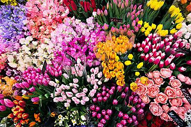 《盖瑞的模组》被吉尼斯认证为最畅销PC独占游戏