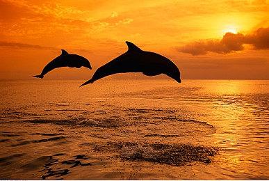 《英雄传说：黎之轨迹》Switch版预购开启 体验版同步发布